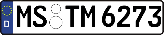 MS-TM6273