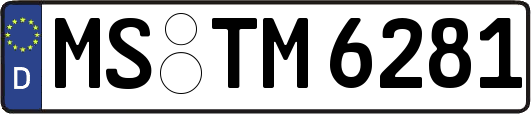 MS-TM6281