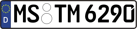 MS-TM6290