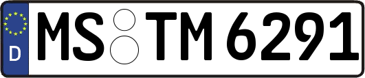 MS-TM6291