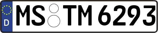 MS-TM6293