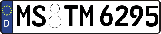 MS-TM6295