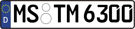 MS-TM6300