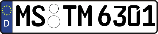 MS-TM6301