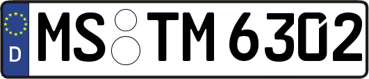 MS-TM6302