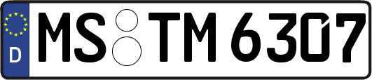 MS-TM6307