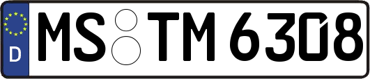 MS-TM6308