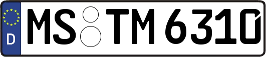 MS-TM6310