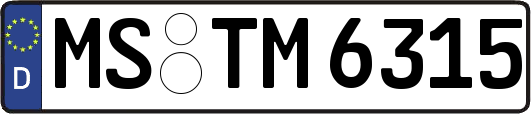 MS-TM6315