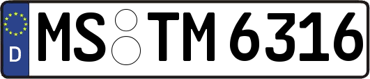 MS-TM6316