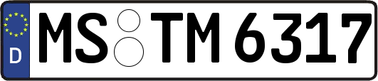 MS-TM6317