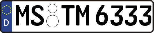 MS-TM6333