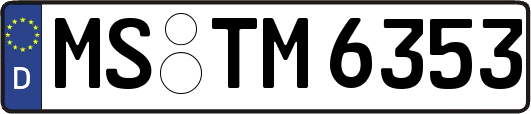 MS-TM6353
