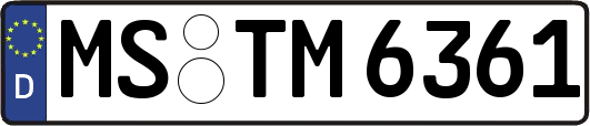 MS-TM6361