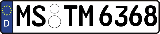 MS-TM6368