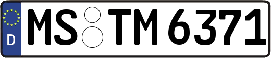 MS-TM6371