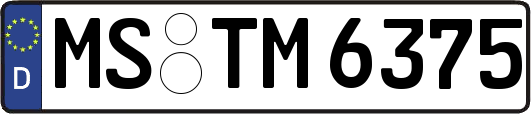 MS-TM6375