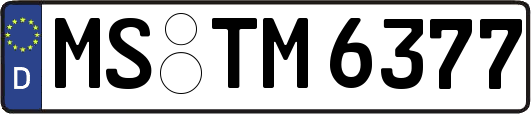 MS-TM6377