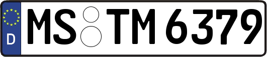 MS-TM6379