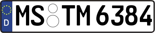 MS-TM6384