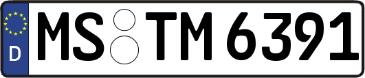 MS-TM6391