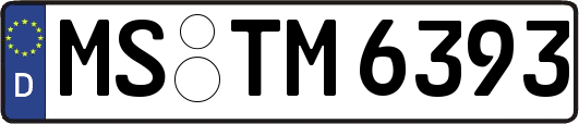 MS-TM6393