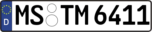 MS-TM6411