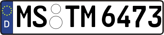 MS-TM6473