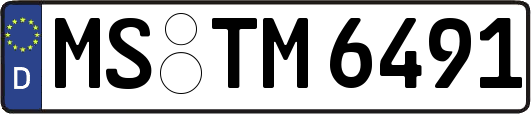 MS-TM6491