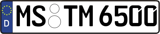 MS-TM6500