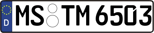 MS-TM6503