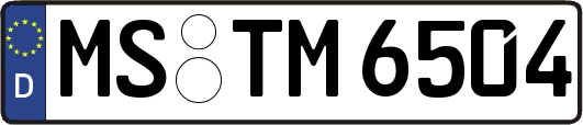 MS-TM6504