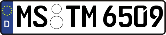 MS-TM6509