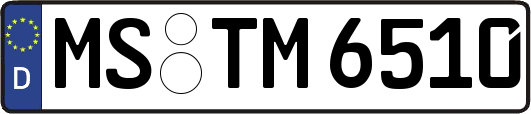 MS-TM6510