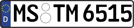 MS-TM6515