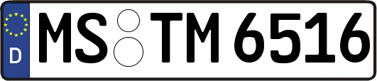 MS-TM6516