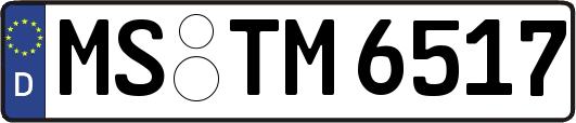 MS-TM6517