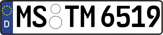 MS-TM6519