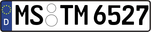 MS-TM6527