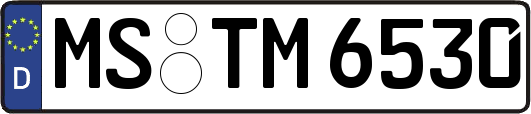 MS-TM6530