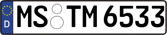 MS-TM6533