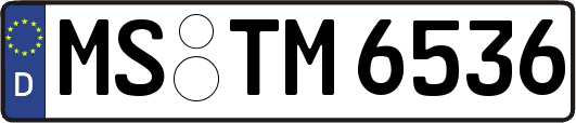 MS-TM6536