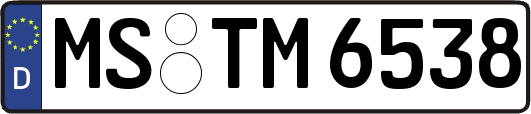 MS-TM6538