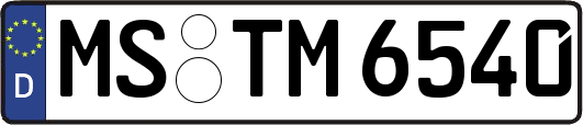 MS-TM6540