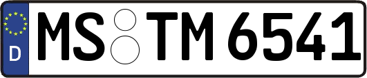 MS-TM6541