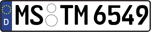 MS-TM6549