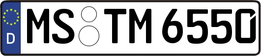 MS-TM6550