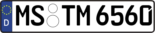 MS-TM6560