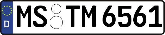 MS-TM6561