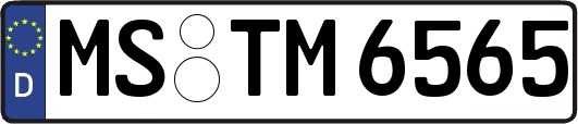 MS-TM6565